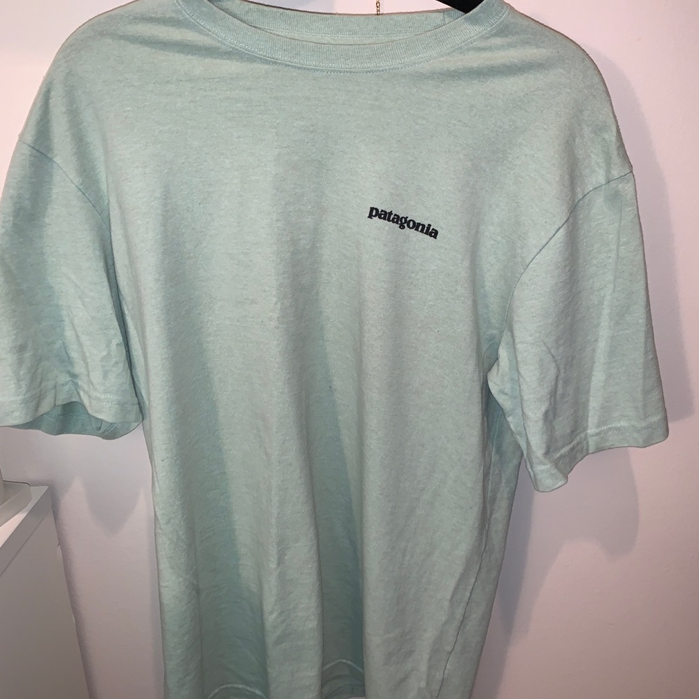 Mint Green Patagonia T-shirt